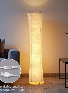Paper floor lamp, paper and chrome-plated standing lamp, LED
