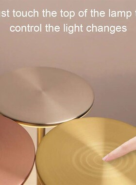 Wireless LED Table Lamp Touch Sensor Desktop Night Light  US