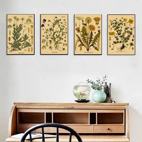 Plant Flower Study Retro Poster Botanical Prints Posters Kra