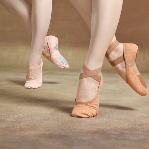 Ballet Shoes for Women Girls Ballerina Elastic Dance Shoes B