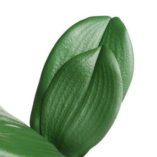 High Quality Orchid Leaves Decorative Flowers Simulation