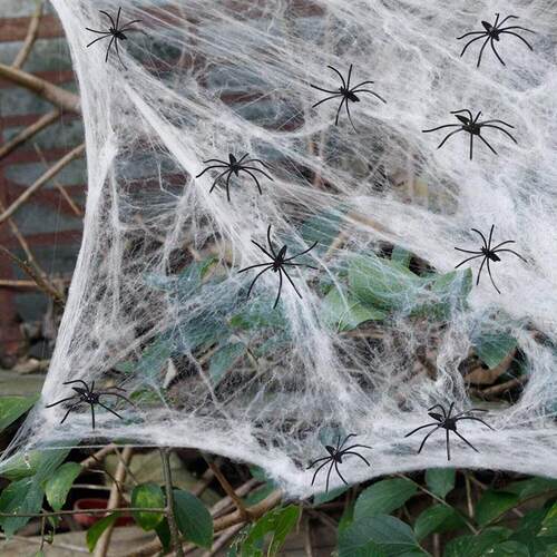Halloween Spider Cotton Spider Web Plastic Spider Bar Secret
