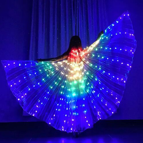 LED Dance Fairy Wings Butterfly Cape Childrens Performance