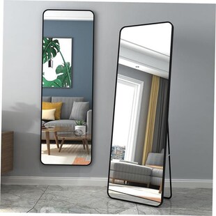 metal frame rack full-body mirror wall mirrow Bedroom mirror