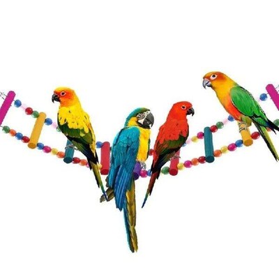 Bird Toys Set Swing Chewing Training Toys Small Parrot
