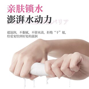 Dog wet Wipes pet paw Cleaning Controlling Grooming Wipes