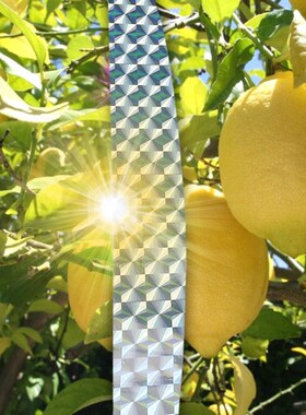 Multi-size Anti Bird Tape Flashing Reflective Bird Repellent