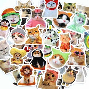 10/50/100pcs Funny Cat Stickers Cartoon Cute Decals Toy Stat