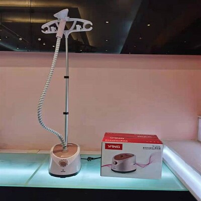 electric compact iron steam soleplate clothes steamer 电熨斗