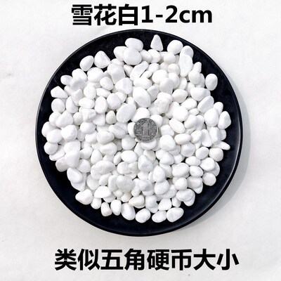 succulent ornamental pebbles pot plant pavement 雨花石小石子