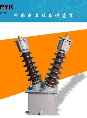 电压互感器JDJJ2-35W JDJ1-35KV JDJJ JDJJ2-40.5KV 户外油浸式