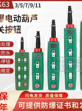 BKA-31起重机电动葫芦工业天车防爆控制手柄按钮带施压单双速手柄