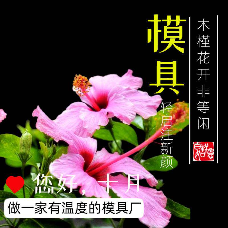【江浙沪】集产品设计模具制造注塑加工表面处理装配一体化模具厂