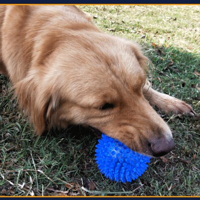 Dog Squeaky Toys Flash Ball Jumping Ball Spike Ball Luminous