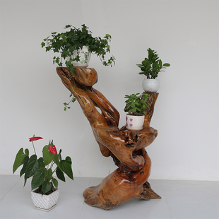 根雕精品花架 木雕盆景架摆件 樟木整体 自然博古架 客厅家俱