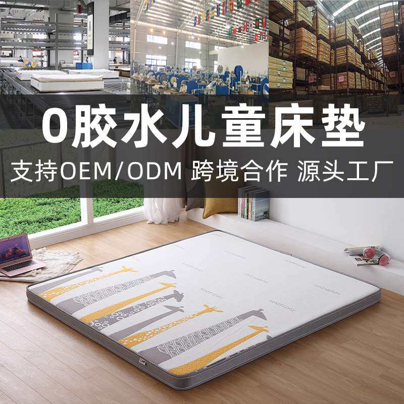 无胶水无甲醛棕垫3E椰棕乳胶床垫儿童榻榻米学校学生宿舍床垫