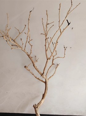 吊灯干枝分枝干树枝装饰树干枯枝室内天花板挂灯插花挂件舞台摆件