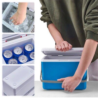 5L Insulated Portable Cooler with Handle Mini Freezer
