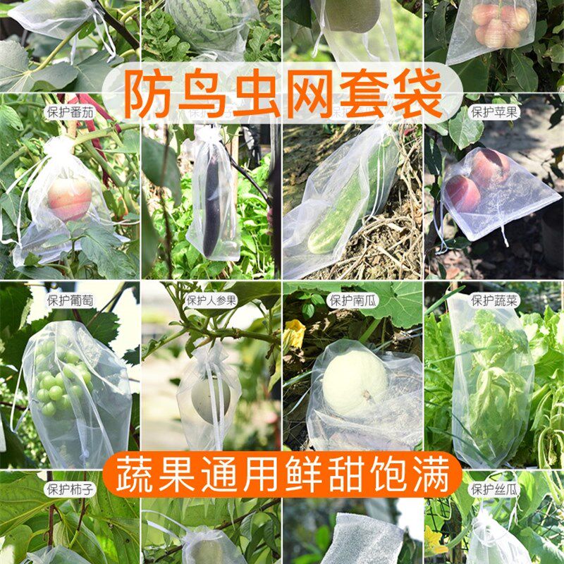 防虫保护袋水果树上包装袋果实袋套袋专用套果袋包果袋批把桃葡萄