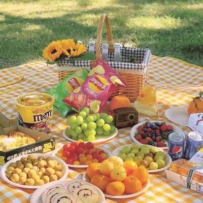 Outdoor Thicken Pad Blanket Camping Beach Plaid Picnic Mat