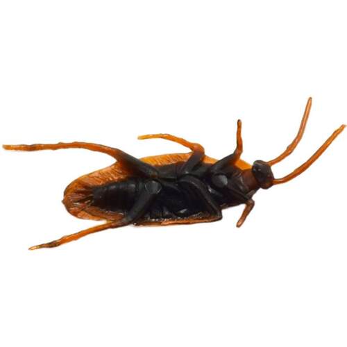 April Fools Day pranks, gifts, tricky props, fake cockroach