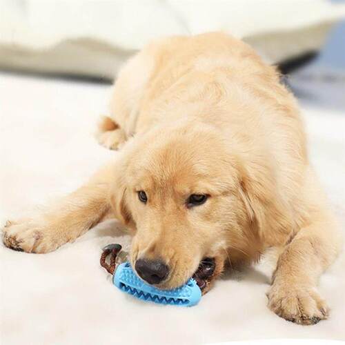 Pet Dog Toys Interactive Natural Rubber Ball Toy Funny Inter