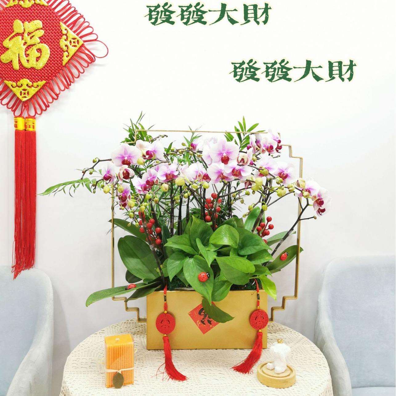 如意假山新中式蝴蝶兰花架仿真植物花盆简约轻奢年宵花盆栽摆件装