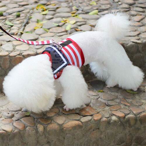 。Pet chest strap traction rope dog chain Teddy small dog wa