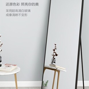 Piering Body Mirrors Alloy mounted Full Wall Aluminum Mirror