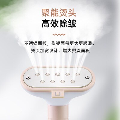 electric compact iron steam soleplate clothes steamer 电熨斗