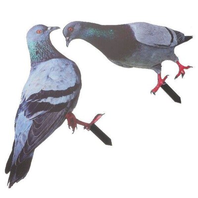 Artifical Lawn Pigeon Garden Decoration Yards Stake Metal