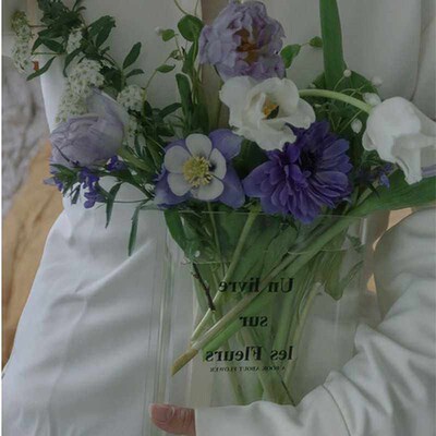 CuteLife Acrylic Vase Klein Blue Book Transparent Modern Dec