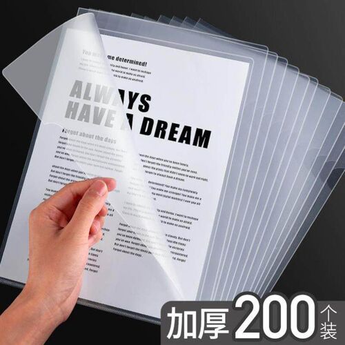 folder a4, two page office file set, single transparent