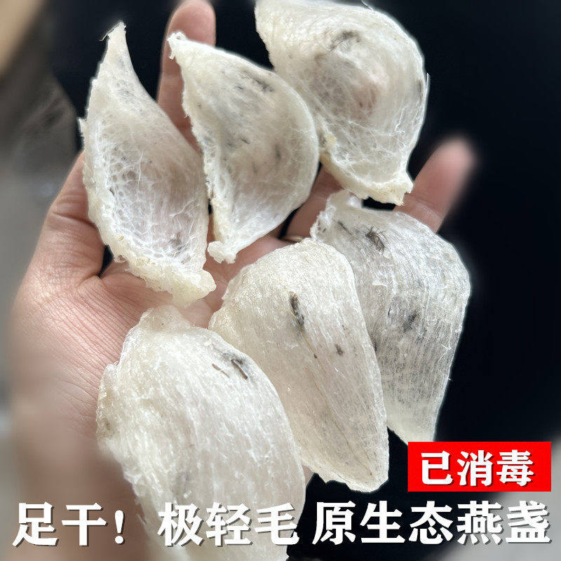 雨季原生态足干特轻毛20g燕窝正品 毛燕盏马来西亚金丝燕孕妇滋补