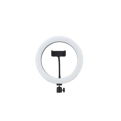 10-inch Live Light Supplement Photography Led Net Red Anchor