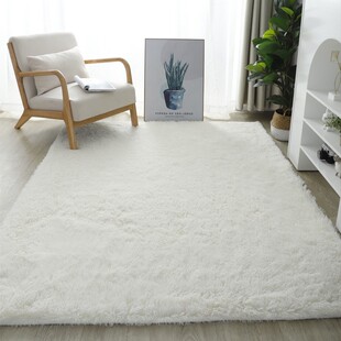 for Bedroom Carpet Area 地毯垫 Mat Rugs Floor Fluffy Shaggy
