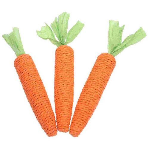 3 Pcs Pet Teething Toys Rat Chew Rabbit for Cage Rabbits