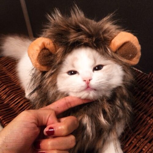 Funny Cute Pet Cat Costume Lion Mane Wig Cap Hat For Cat Dog