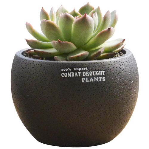 Table flowerpot European Garden black drum type air permeabi