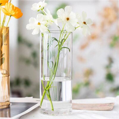 Nordic Ins-style Simple Glass Vase Hydroponic Flowers Flower