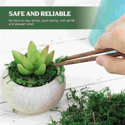 Decorative Moss Green for Plants Preserved Potted Fake