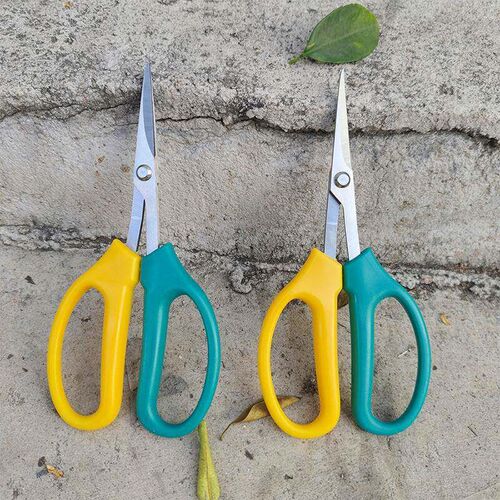 Wholesale Stainless Steel Grape Pruning Shears, Fruit and