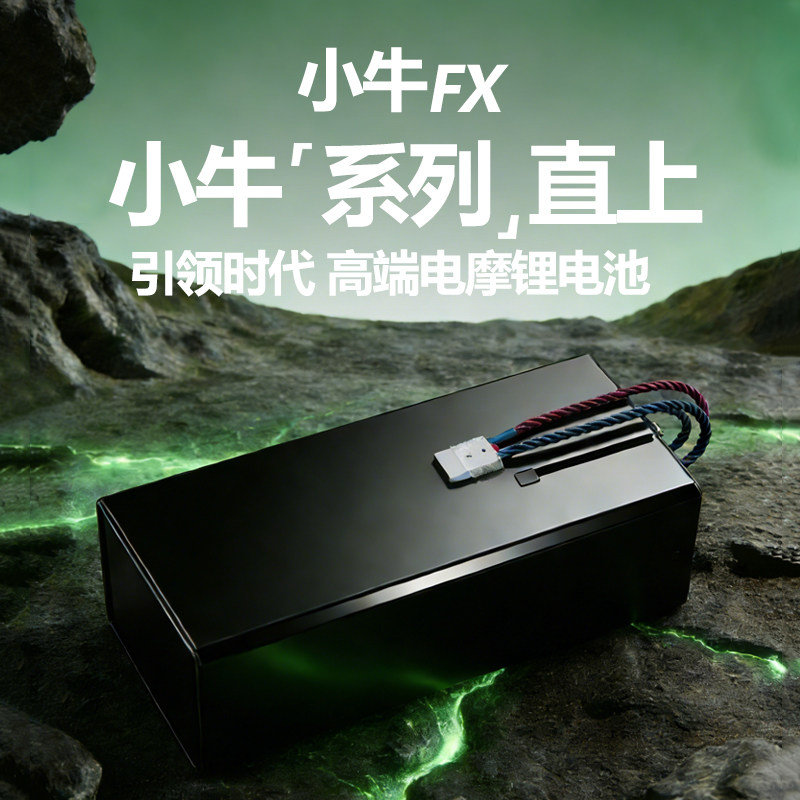 云造锂电池高续航高容量72v于九号小牛极核直上60v电动摩托车专用