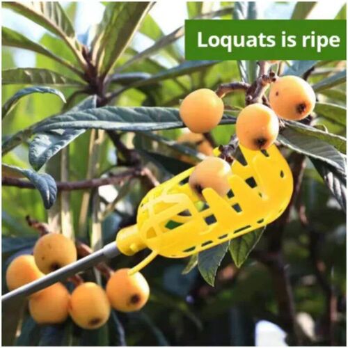 Farm Garden Picking DeviceGarden Tools Deep Basket Fruit Pic
