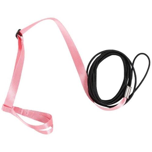 Pet Bird Harness and Leash,Adjustable Parrot Bird Harness