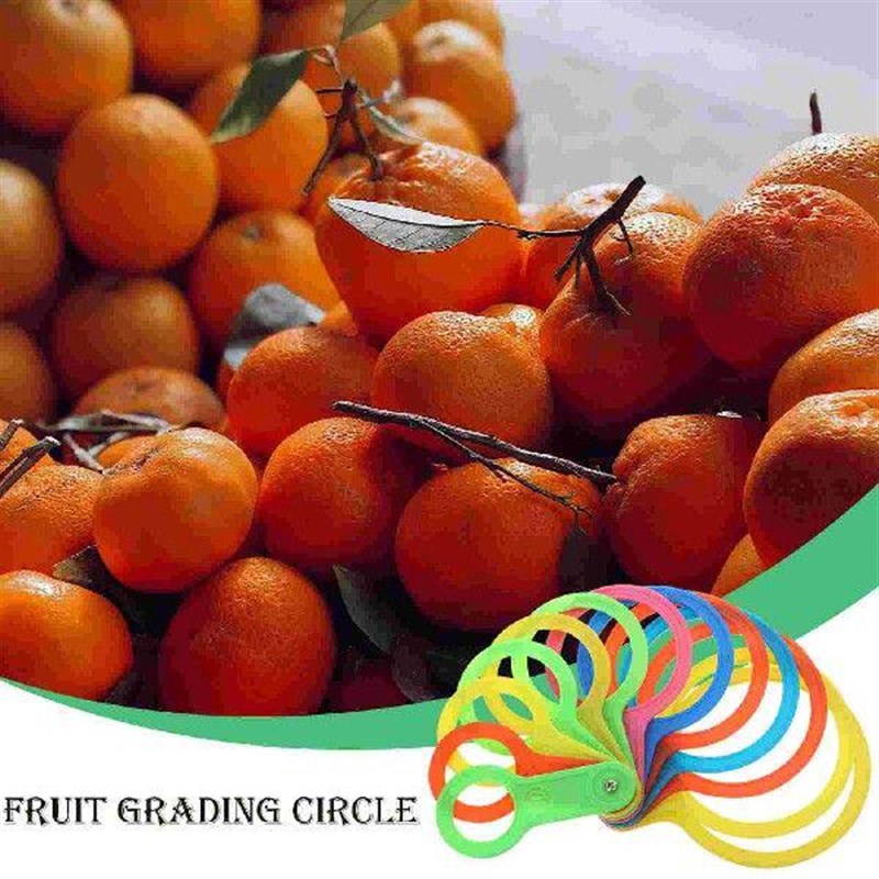 Grading Board Fruit Grader Fruits Circle Plastic Circles - 实物图
