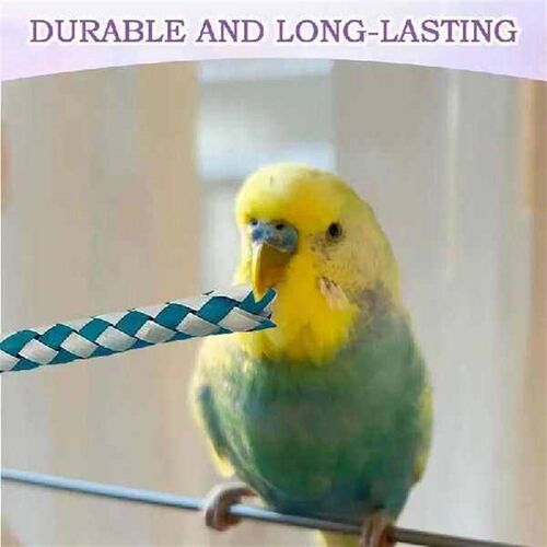 Finger Traps Pet Foraging Accessory Assorted Colors Chinese