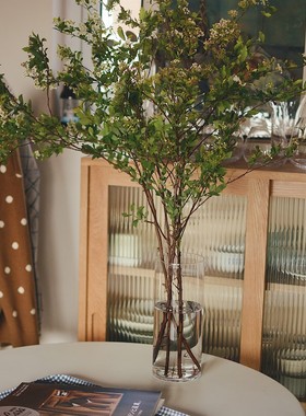 收集时光 Cmus sy日光森林 直身玻璃花瓶 马醉木吊钟