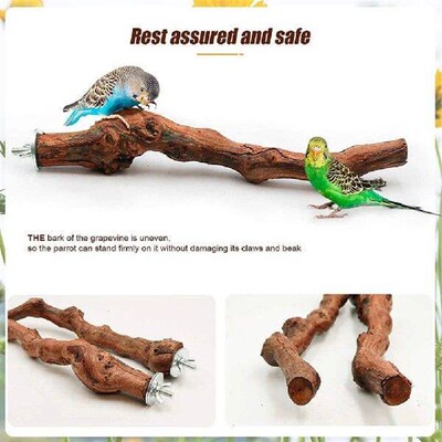Pet Parrot Bird Standing Stick Parakeet Climbing Standing
