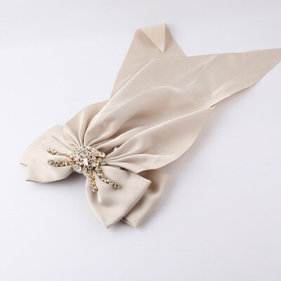 Butterfly Fringe Hair Clip New Fashion Bow Long Strip Rhines